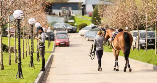 Хто зараз володіє заміським комплексом Equides Club на Київщині