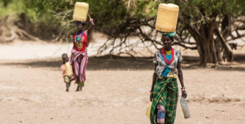У Кенії виявили унікальні гени, що дозволяють жити без овочів