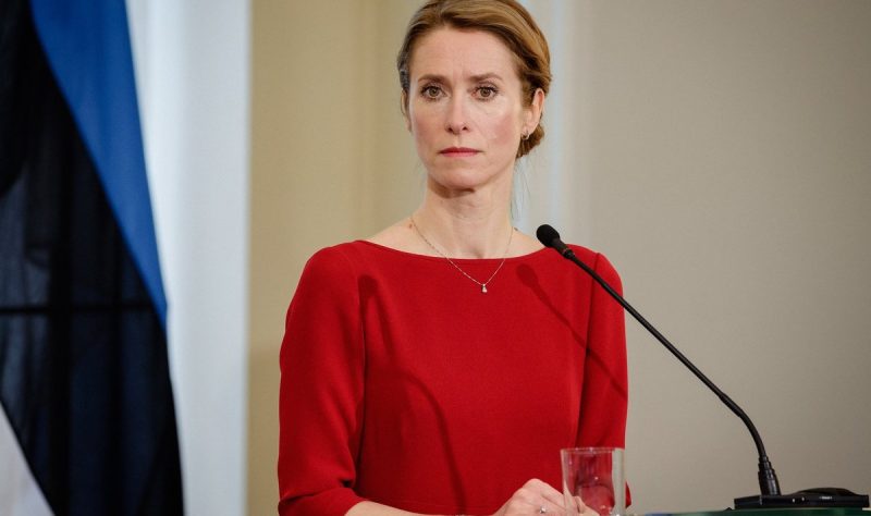 ЄС розробляє план оборони від дронів