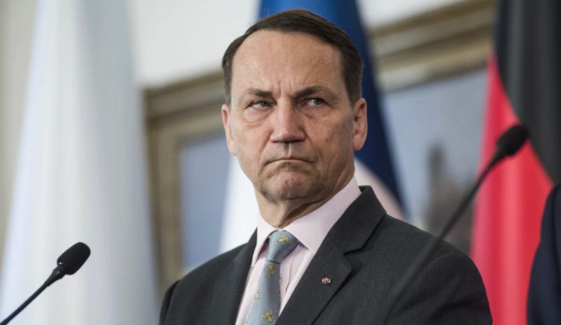 Польща виділить $100 млн на закупівлю зброї для України