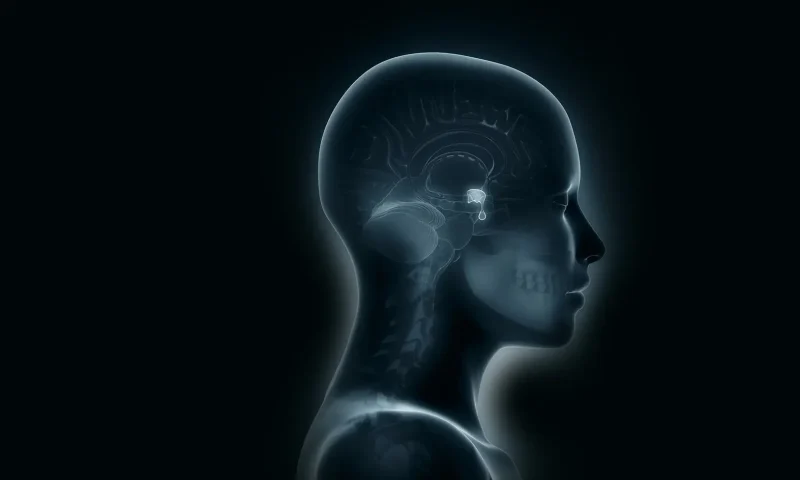 Що відбувається в організмі, коли гіпофіз перестає виробляти гормони